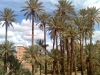 photo013